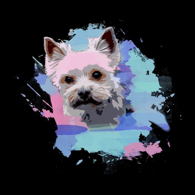 yorkshire terrier, chien, graffiti, terrier, coloré