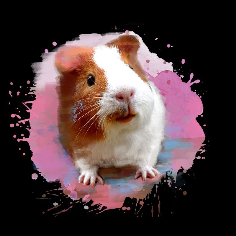 cochon d’Inde, graffiti, peinture, aquarelle, rose