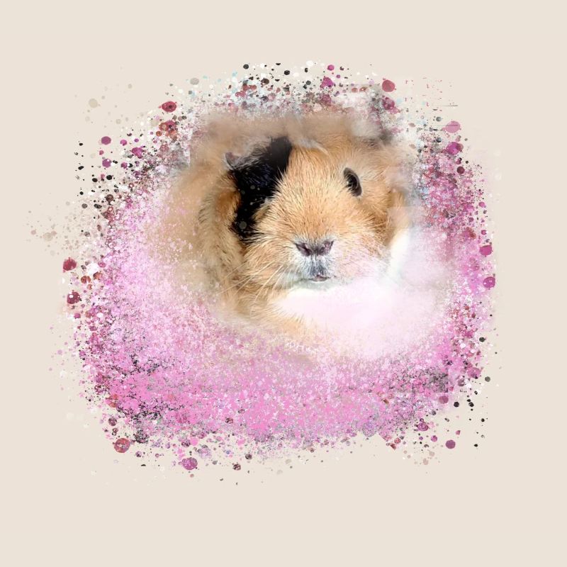 cochon d’Inde, graffiti, peinture, rose, rose