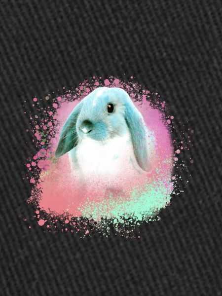 rabbit,graffiti,painting,pet,rabbit,blue