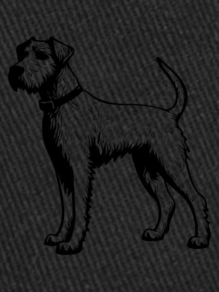Airedale Terrier Dog