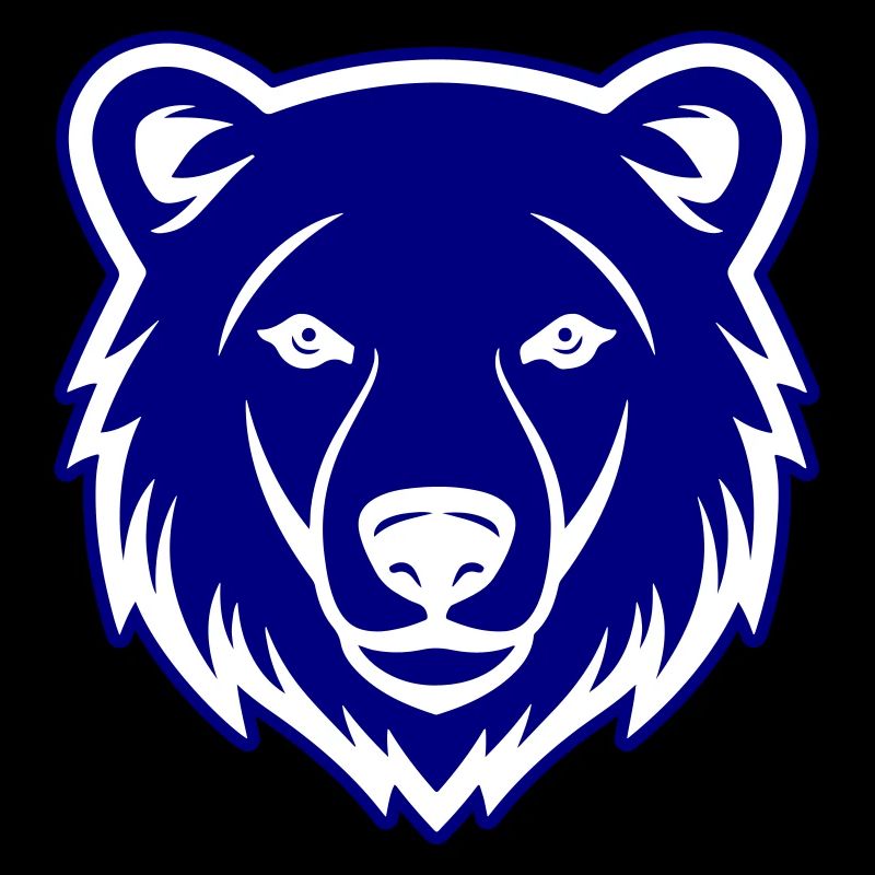 Eisbär Kopf Polar bär