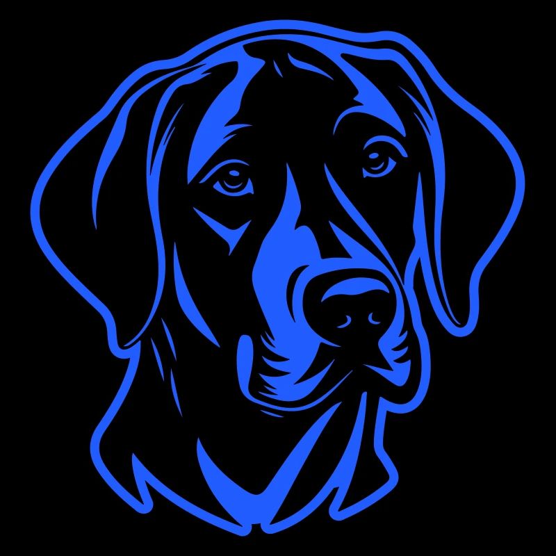 Tête de chien Labrador