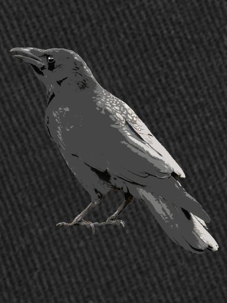 Corbeau