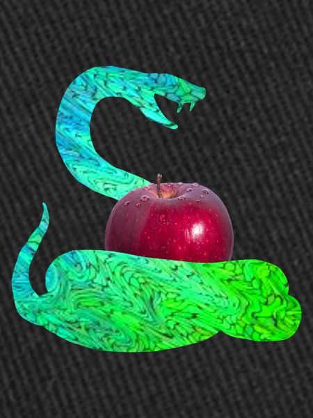 Serpent E 5