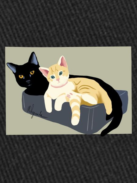 deux chats mignons