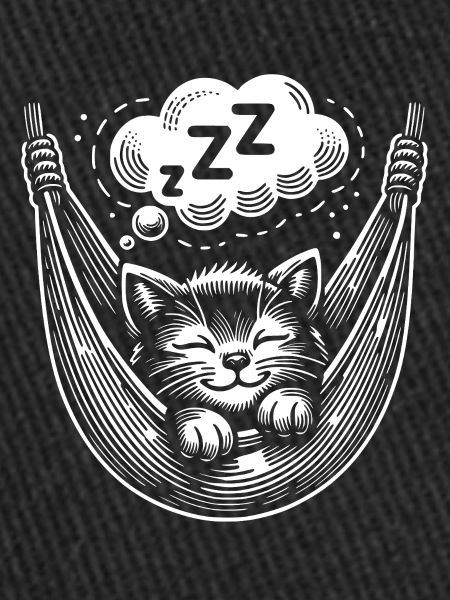 Chaton endormi mignon