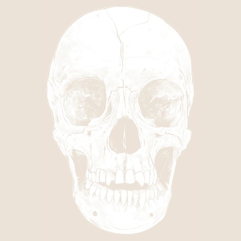 Skull skull grumpy bones head