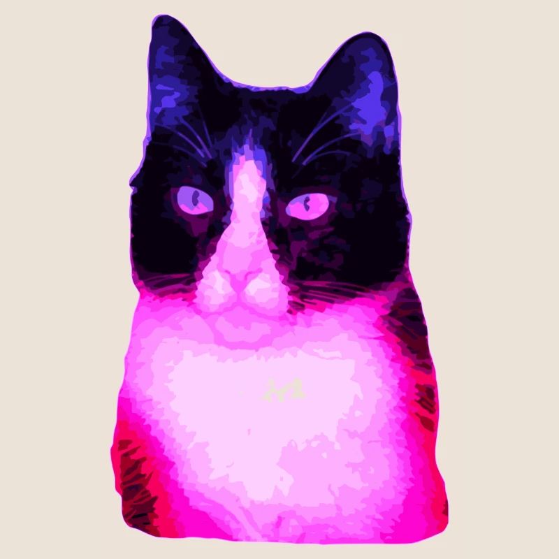 Chat chat chat