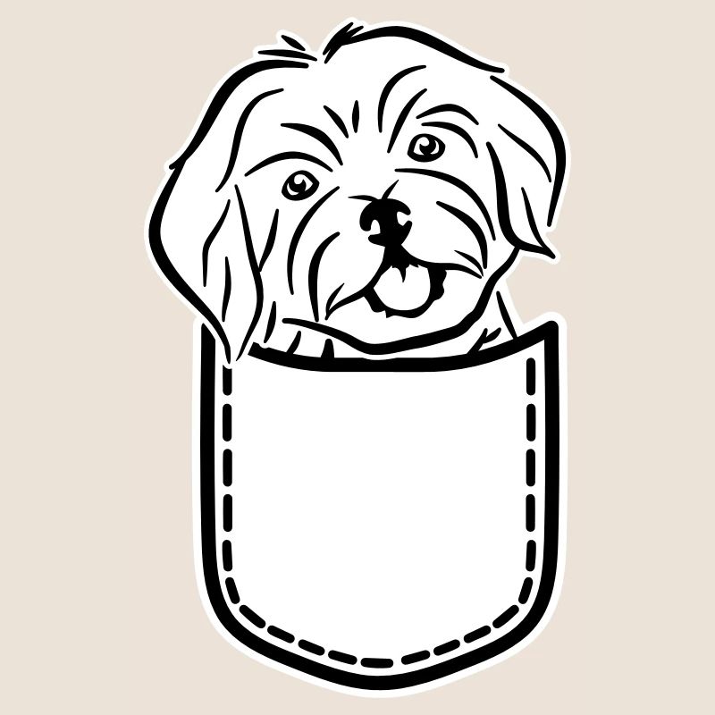 Havanese