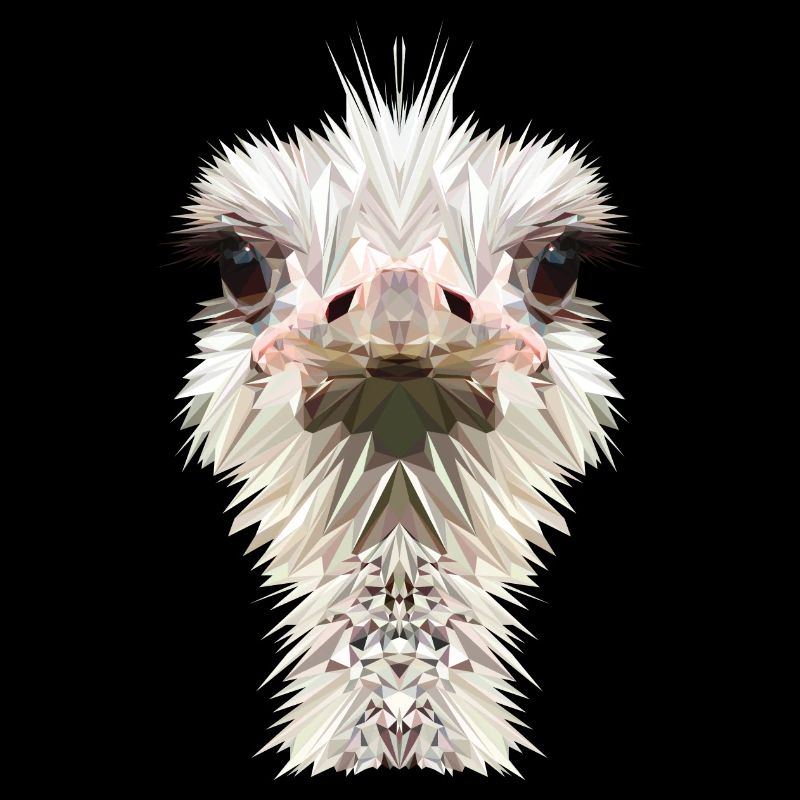 Ostrich