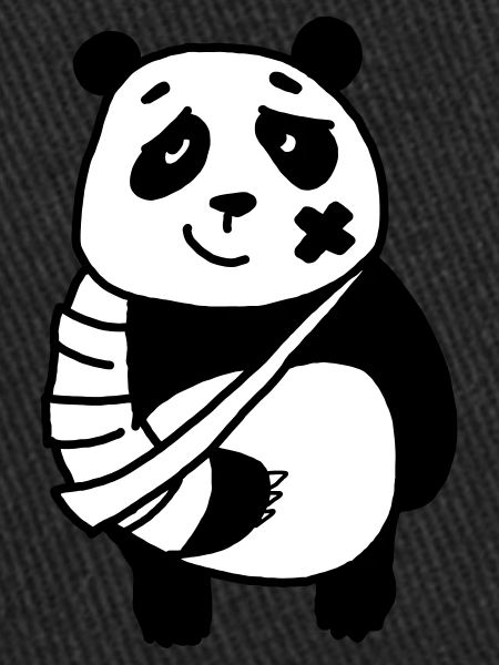 Panda broken arm
