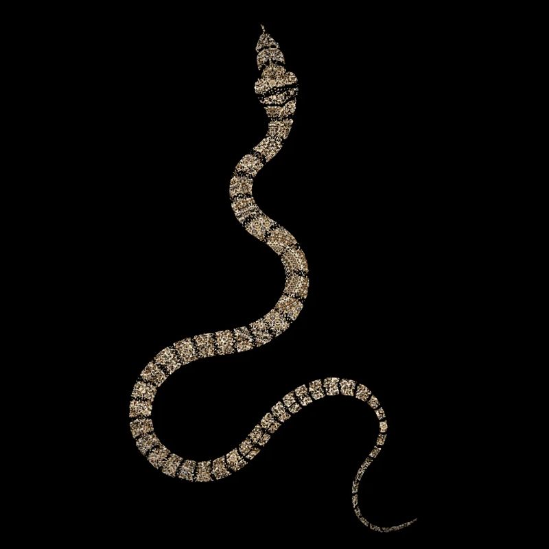 serpent