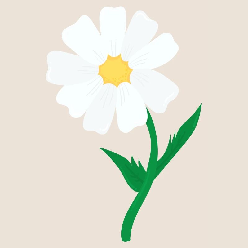 Gänseblümchen