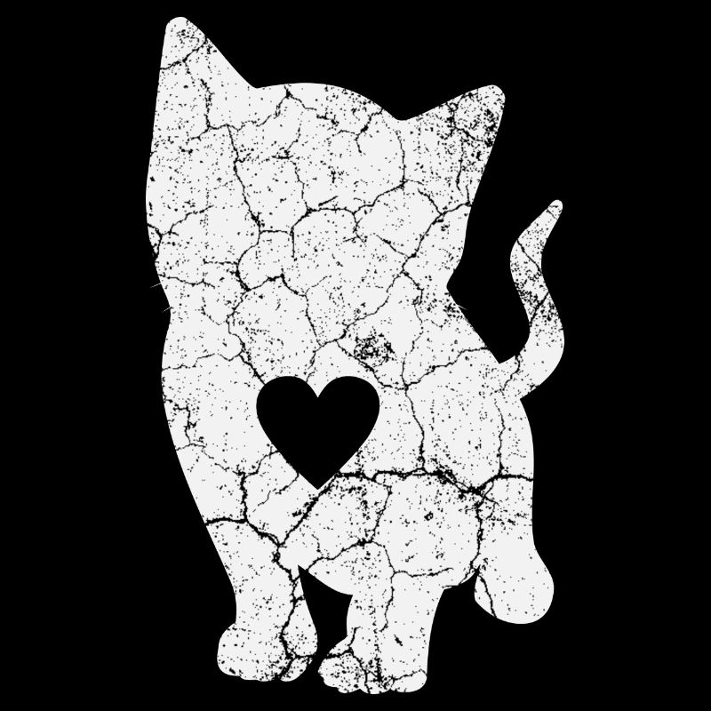 Katze Katzen