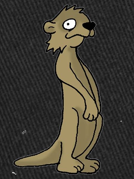 Meerkat