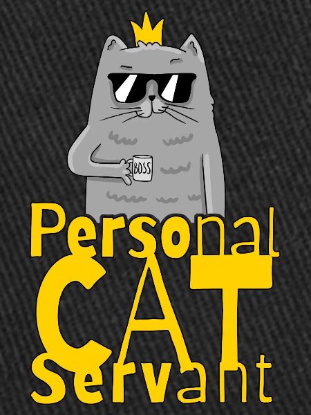 Personal Cat Servant Funny Kitten