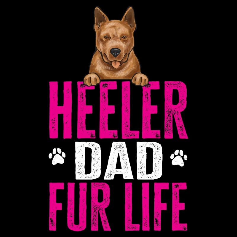 Bouvier australien Red Blue Heeler
