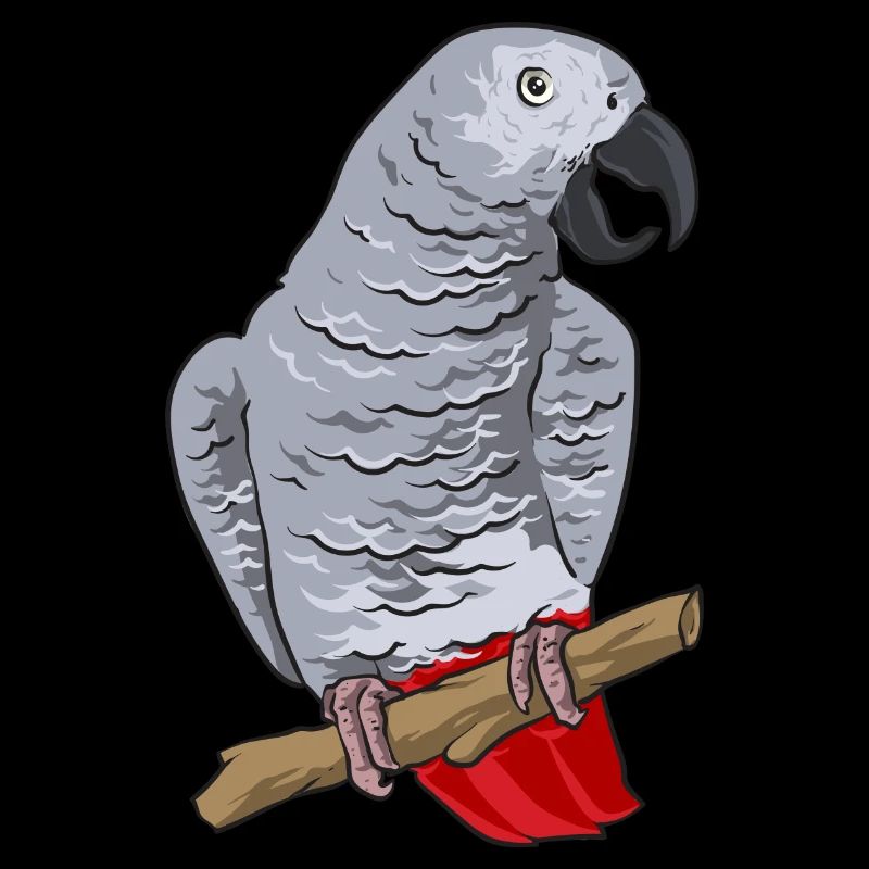 Graupapagei Perroquet gris d’Afrique Papagei
