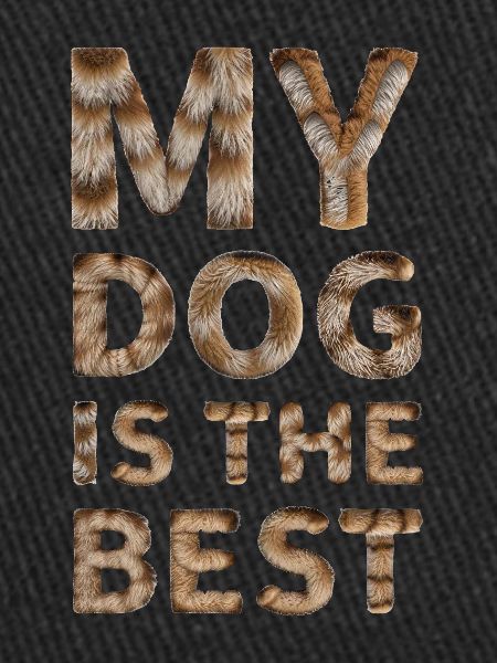 Mon chien est le meilleur