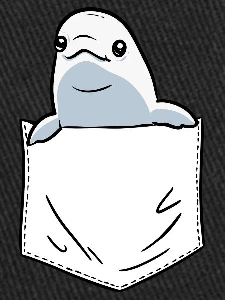 Baleine blanche Béluga