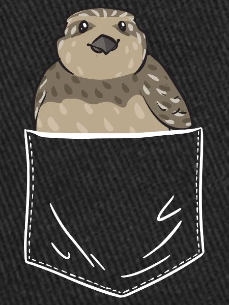 Oiseau de caille
