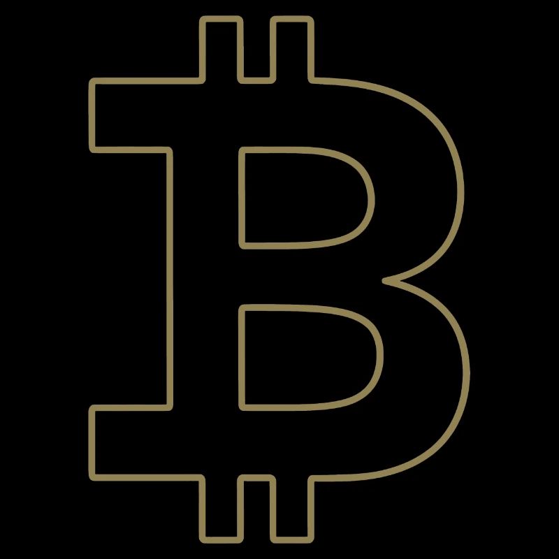 Bitcoin Logo Silhouette Monnaie Numérique