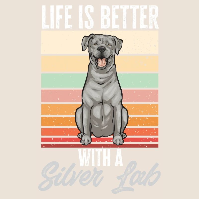 Silver Labrador Retriever Silver Lab