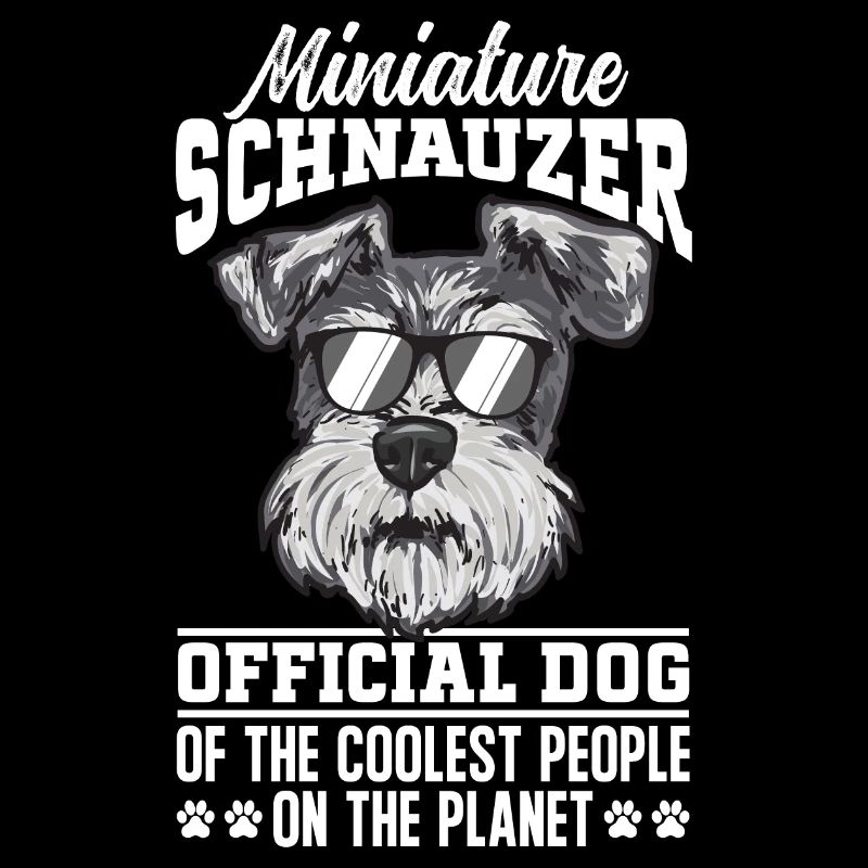 Zwergschnauzer Hund Schnauzer