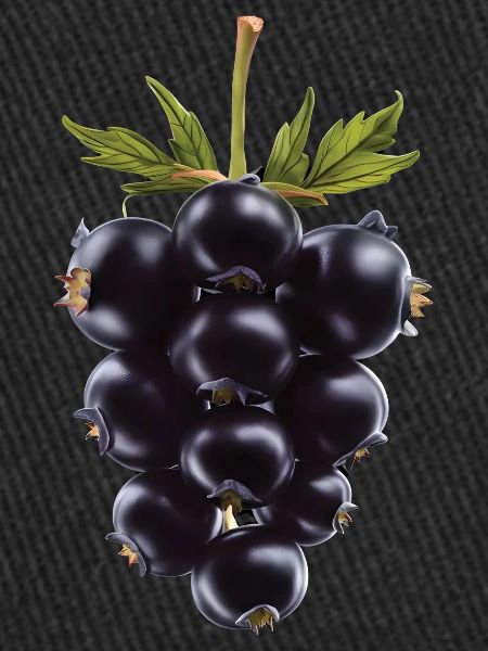 Brombeere Frucht
