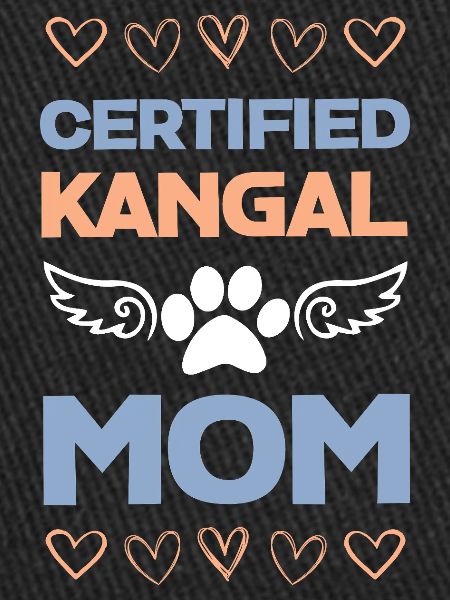 Kangal Mama Certified