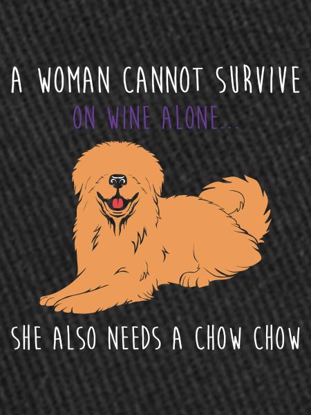 Chow Chow Chien