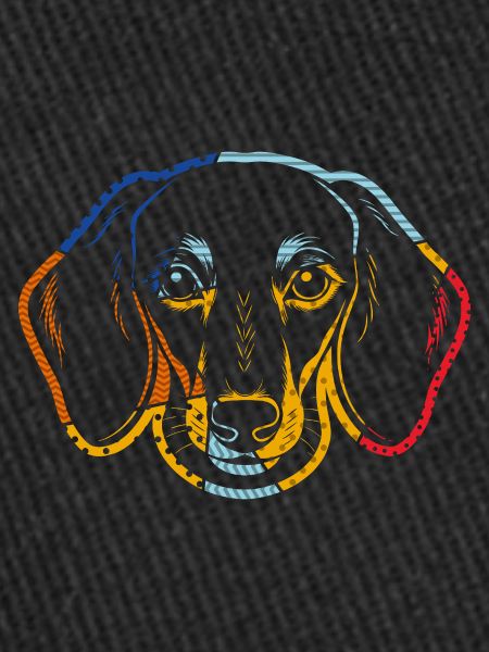 Chien teckel