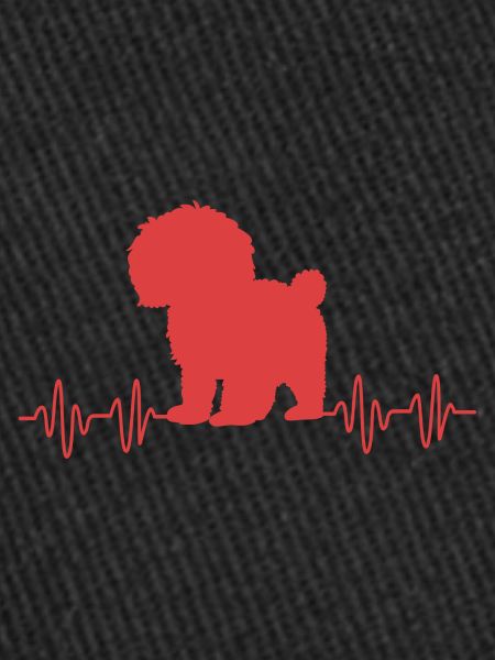 Goldendoodle