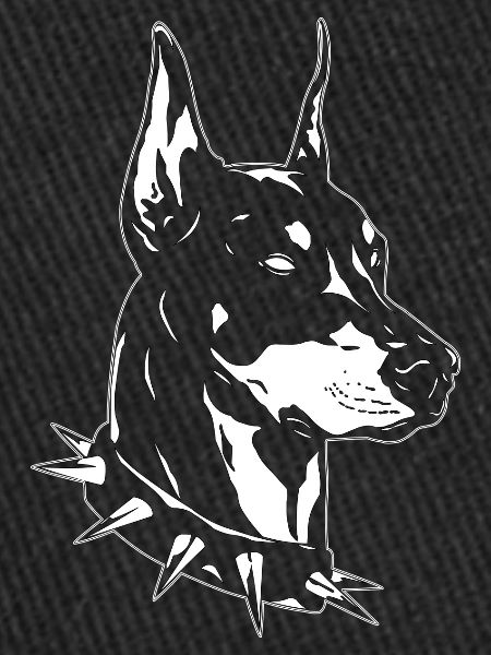 Doberman