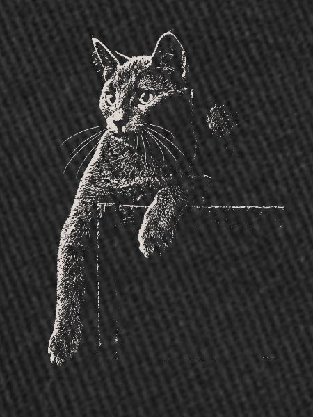 Chat chartreux