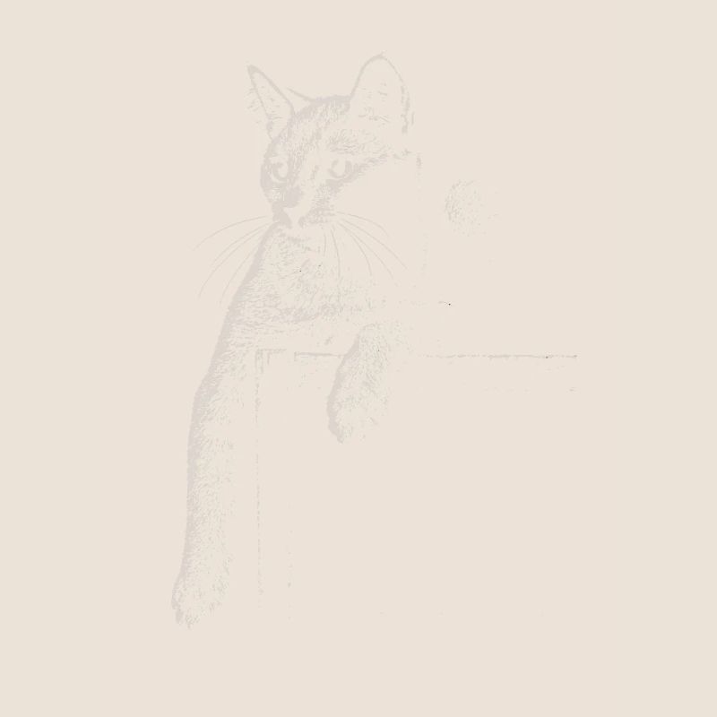 Chat chartreux