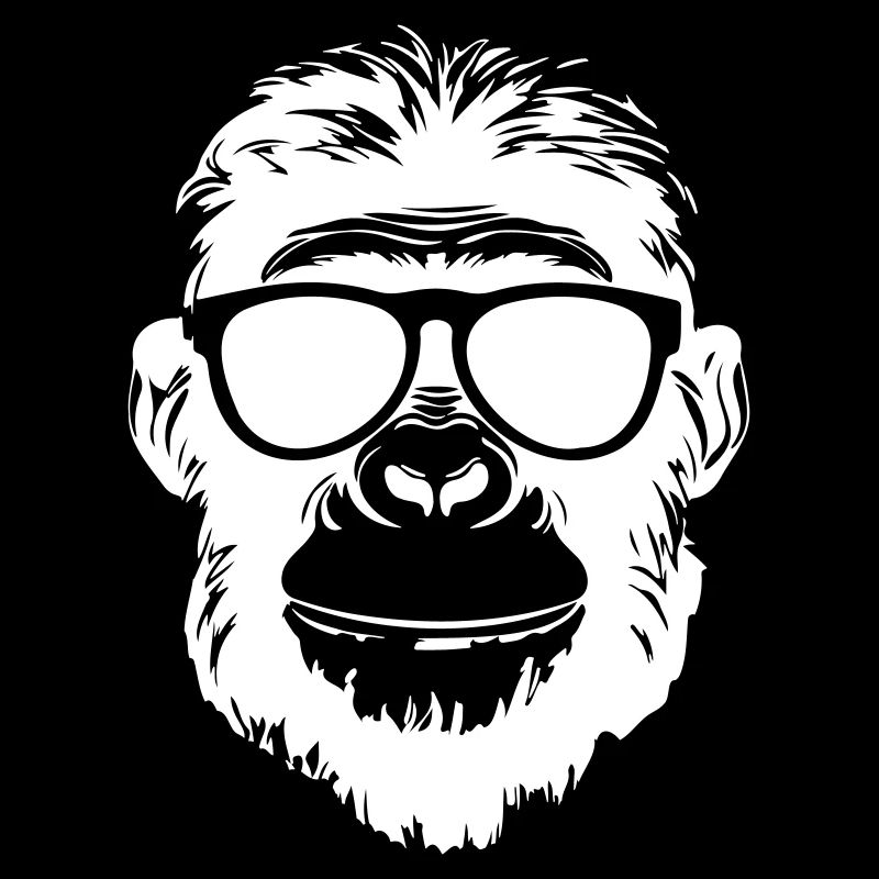 Monkey Party drôle