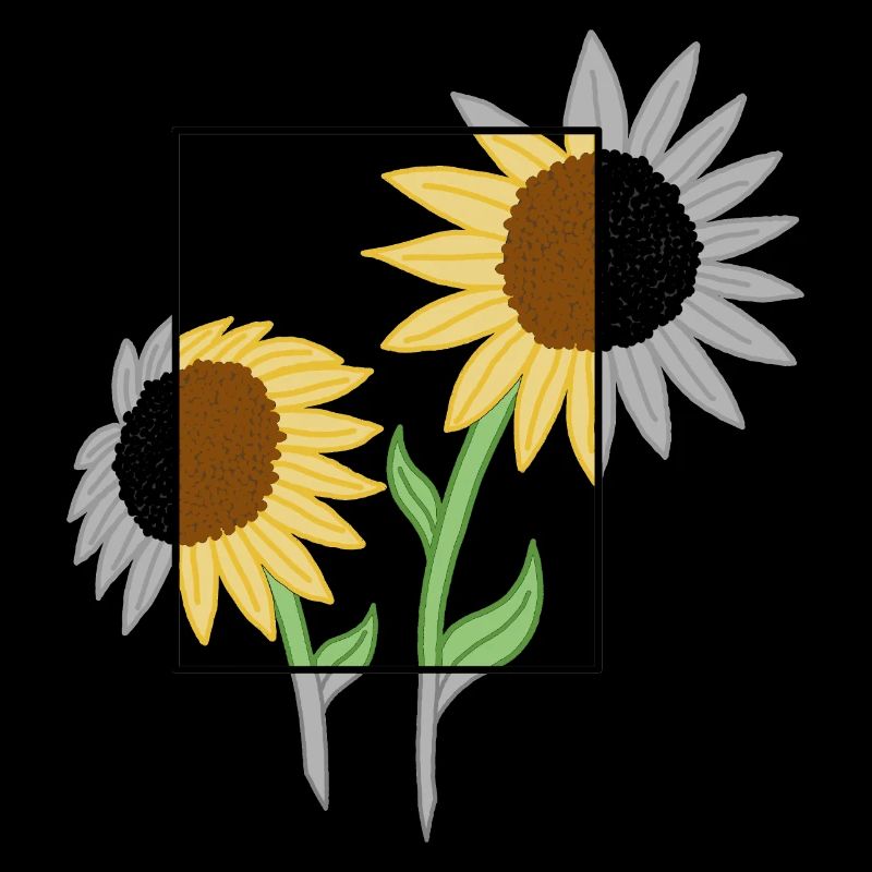 Sonnenblume Grau&Farbe