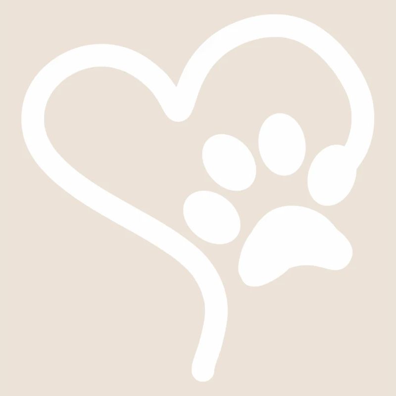chien mignon chats empreinte animale chiens chat chien
