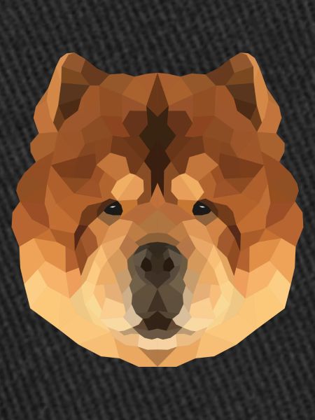 Polyart Chow Chow