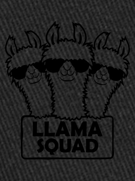 Conception d’équipe Llama Squad