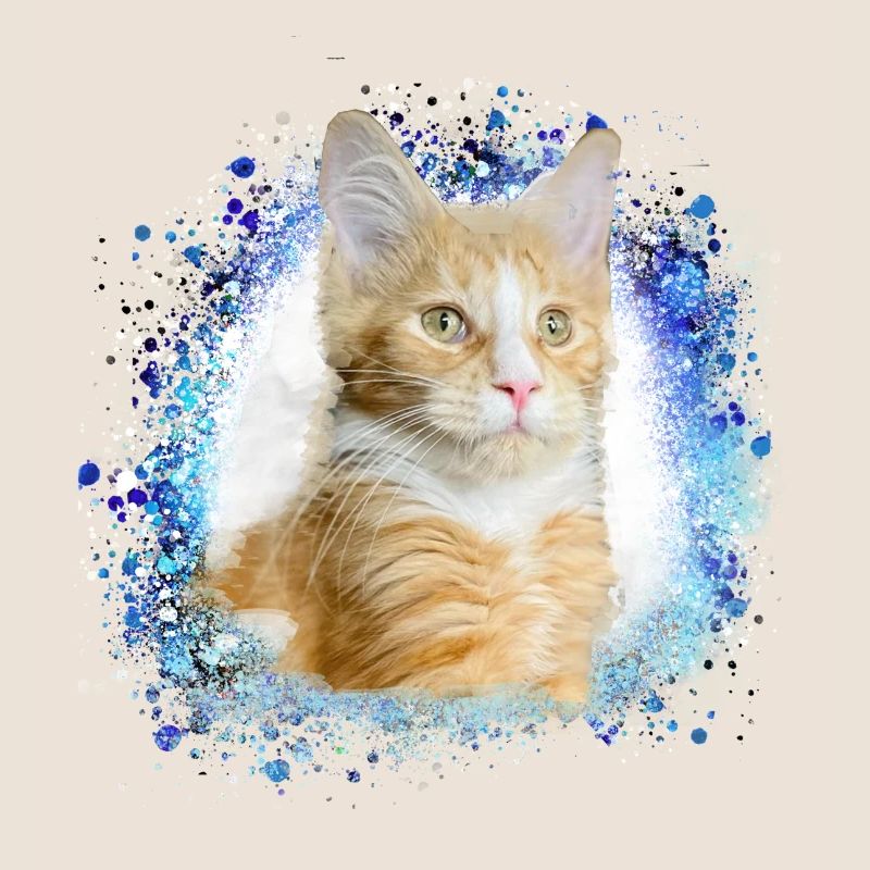 maincoon,katze,graffiti,malerei, Maine-Coon-Katze,