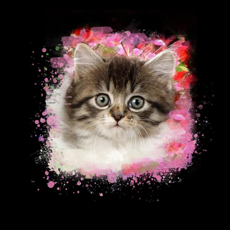 kitten,cat,graffiti,painting, Maine Coon cat,