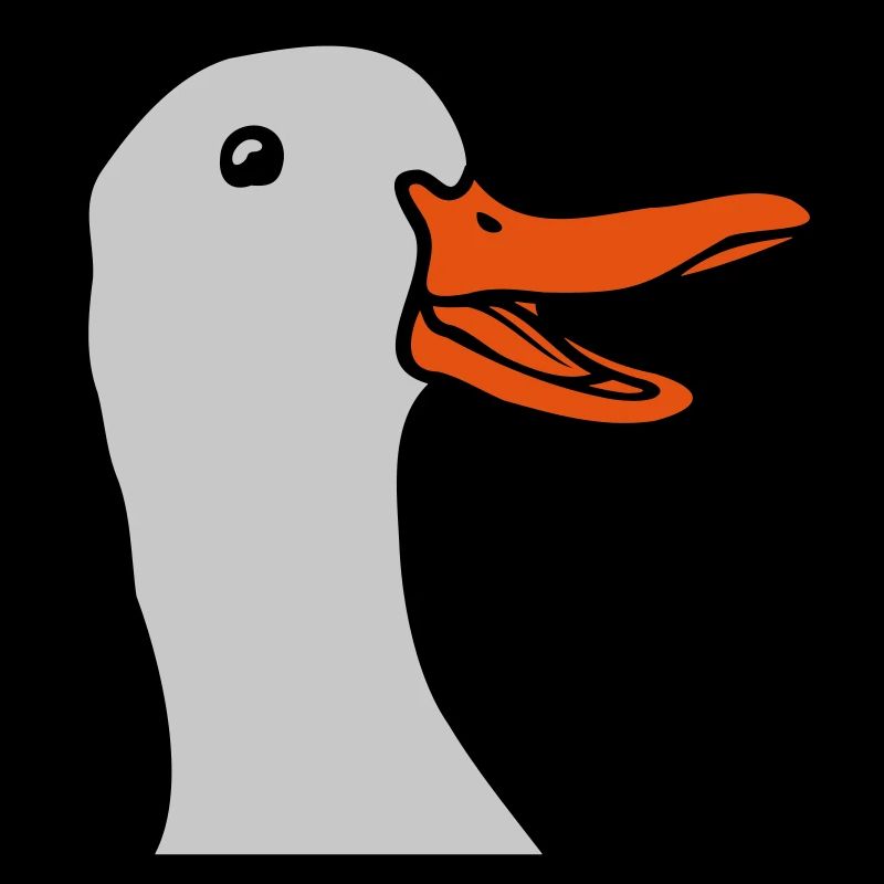 Tête douce et joyeuse oie