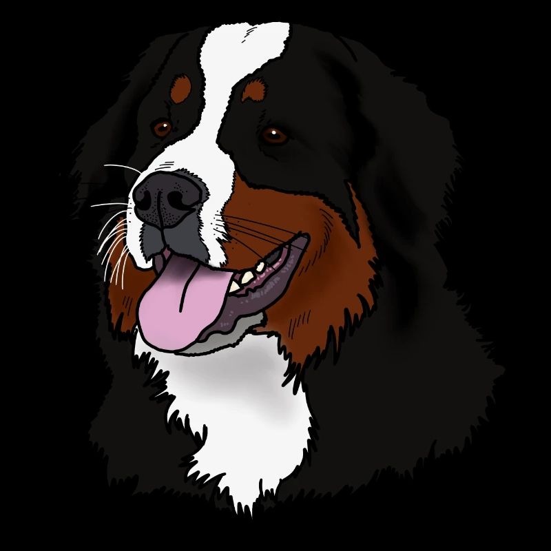 Berner Sennenhund Kopf
