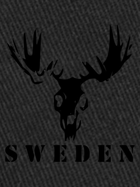 Elchschädel Schweden