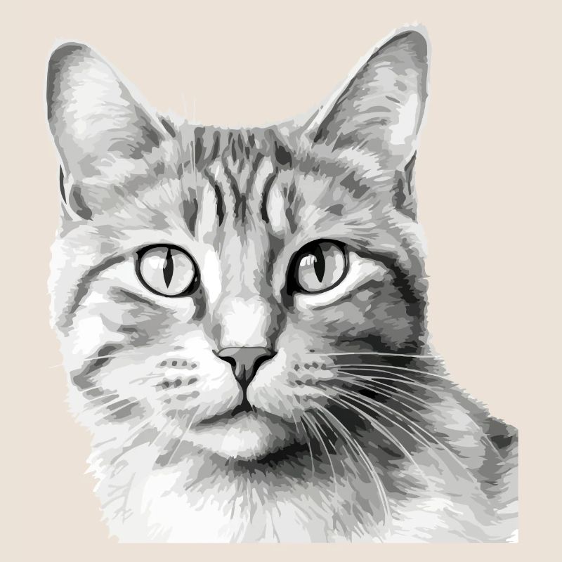Bli le chat