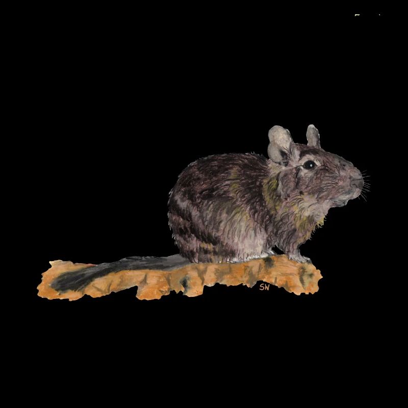 Degu