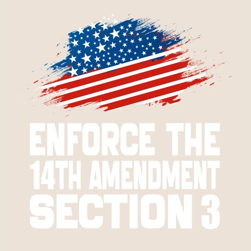 Enforce The 14TH Amendment Section 3